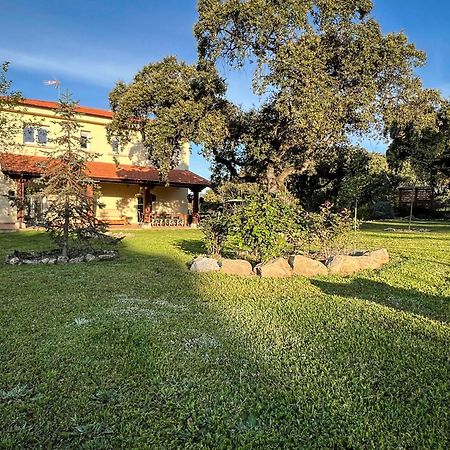 Villa La Encina Guapa Casa Rural 20,000M2 De Intimidad La Iglesuela Exterior foto