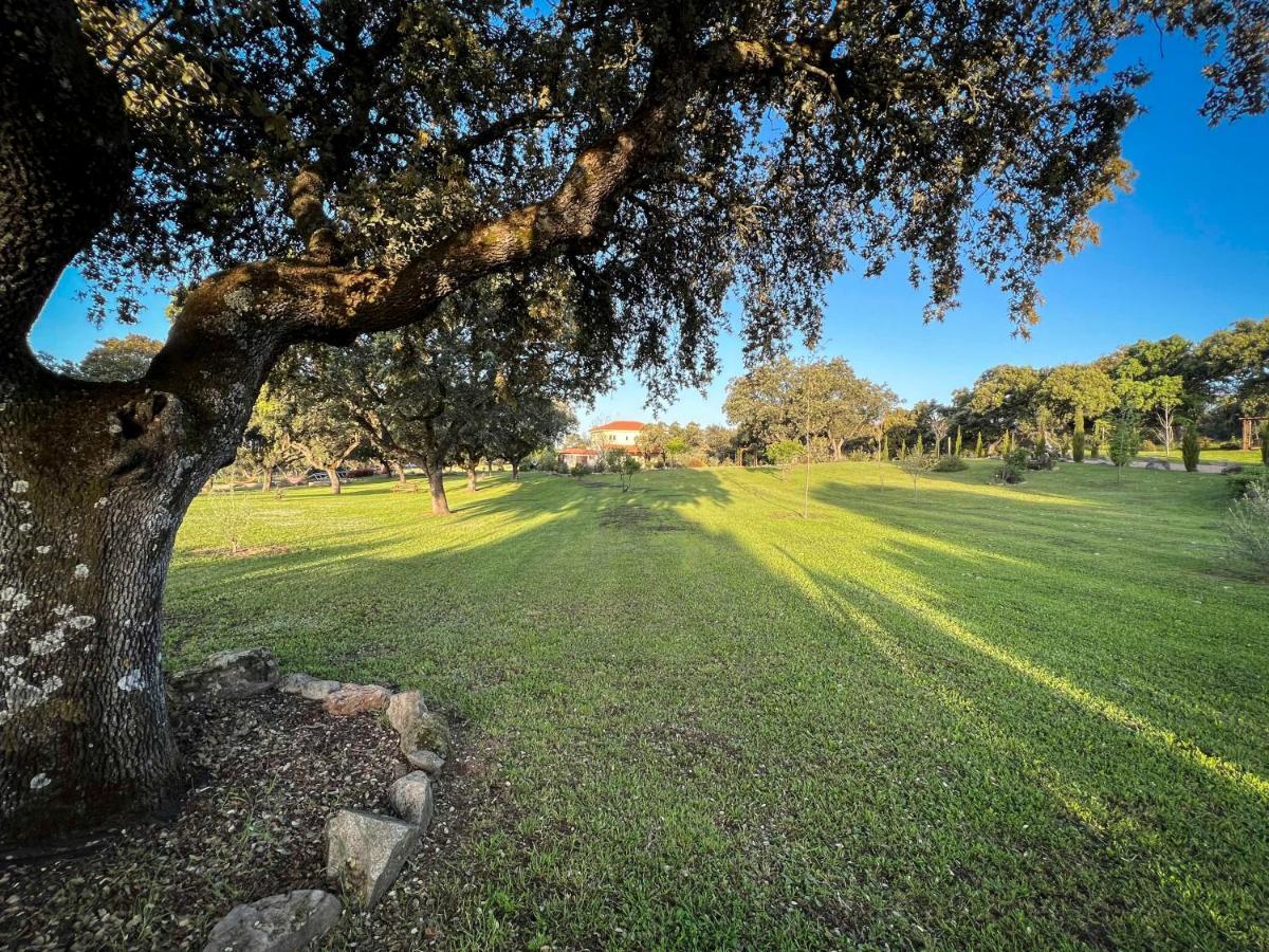 Villa La Encina Guapa Casa Rural 20,000M2 De Intimidad La Iglesuela Exterior foto
