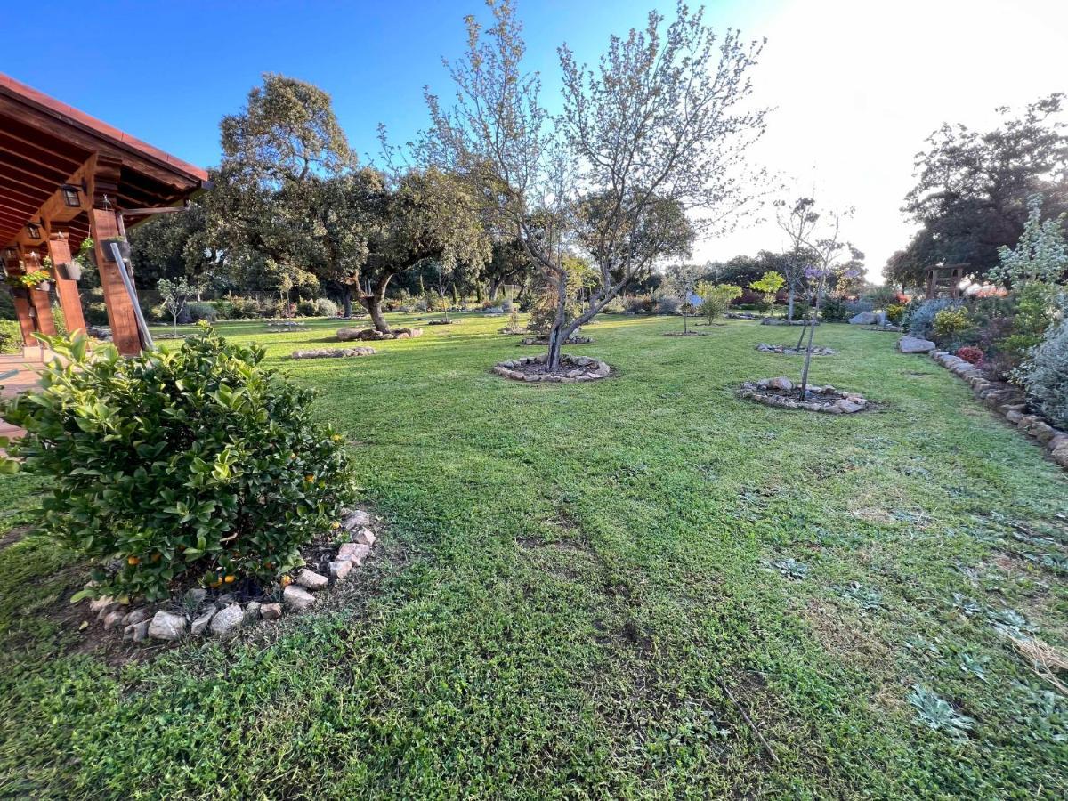 Villa La Encina Guapa Casa Rural 20,000M2 De Intimidad La Iglesuela Exterior foto